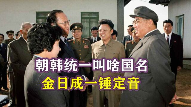 朝韩统一叫啥国名?1980年,金日成一锤定音:高丽民主联邦共和国