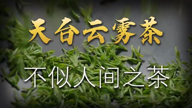 是什么茶让李白魂牵梦萦,让陆羽推崇备至,被称为不似人间之茶