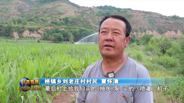 桥镇乡:全力抗旱保民生 纾难解困“润”民心