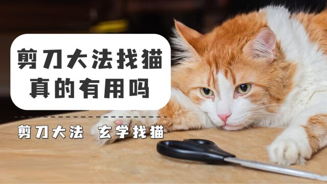 剪刀大法找猫真的管用吗?这种玄学方法你相信吗?