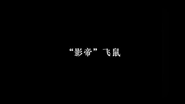 会“演戏”的大赤鼯鼠 #飞鼠 #养宠物 #动物成精 #萌物