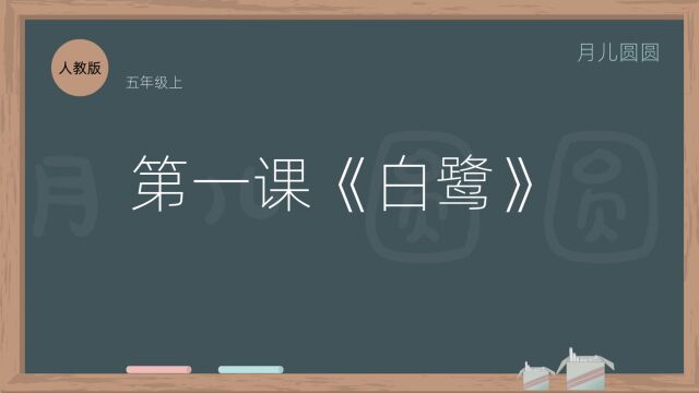 人教版五年级语文上册 第一课《白鹭》