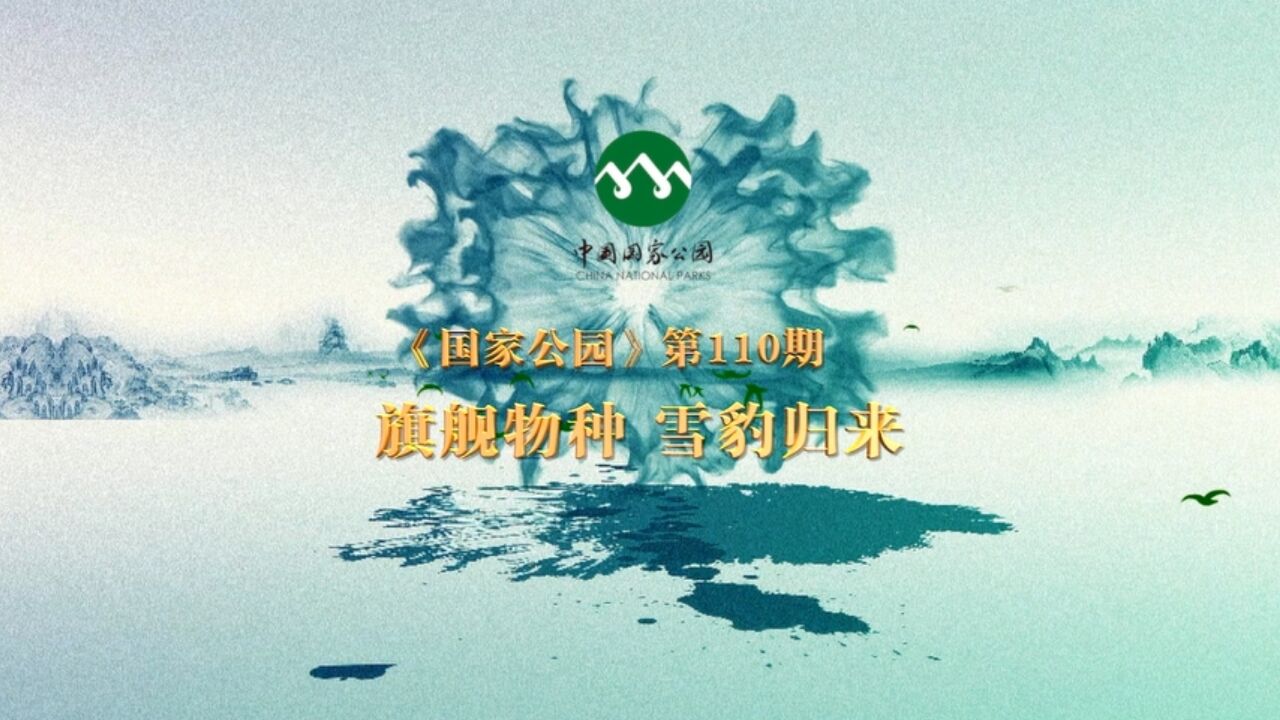 《国家公园》第110期:旗舰物种 雪豹归来