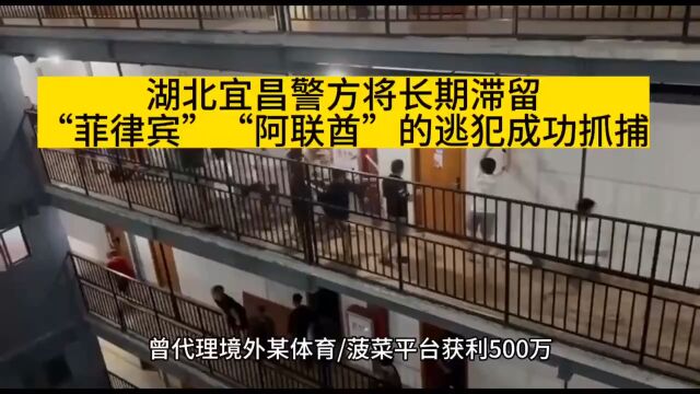 好消息!湖北宜昌警方将多家电诈园区代理人成功抓捕,真是大快人心!