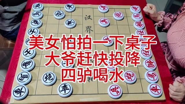 美女啪拍一下桌子 大爷赶快投降 四驴喝水 #象棋