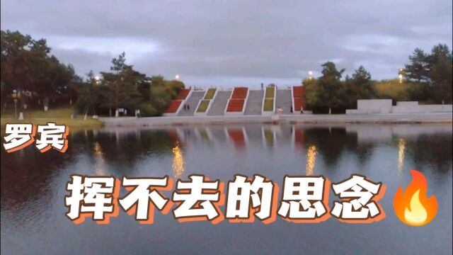 歌曲:挥不去的思念罗宾