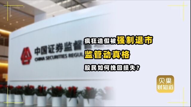 立案调查!上市公司财务造假被强制退市,股民损失该向谁索赔?