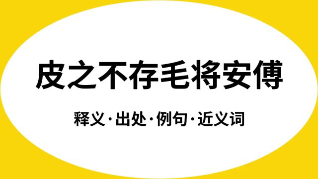 “皮之不存毛将安傅”是什么意思?