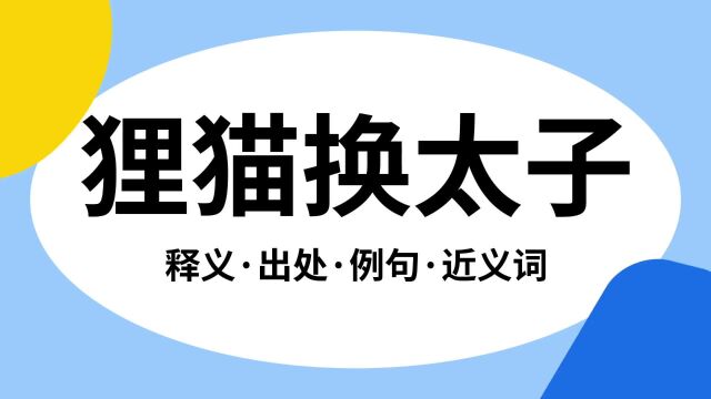 “狸猫换太子”是什么意思?