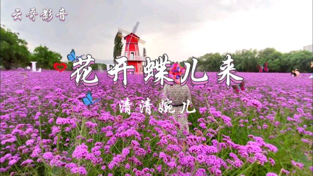 请您欣赏《花开蝶儿来》