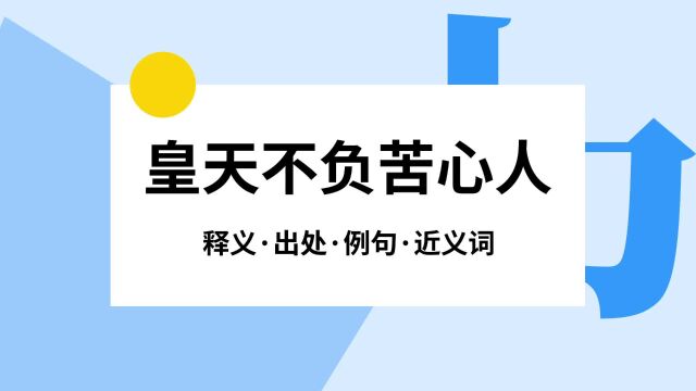 “皇天不负苦心人”是什么意思?