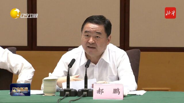 视频 | 辽宁省庆“八一”军政座谈会召开