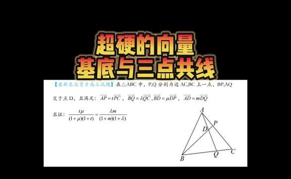 最新东北育才的这道向量基底问题真硬核啊#高中数学 #平面向量 #数学思维 #关注我每天坚持分享知识