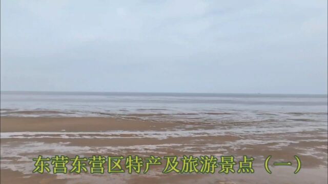 东营东营区特产及旅游景点