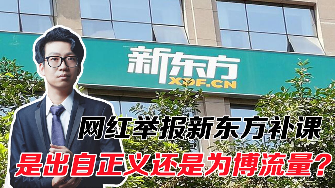 网红举报新东方补课,是出自正义还是为博流量?家长们坐不住了!