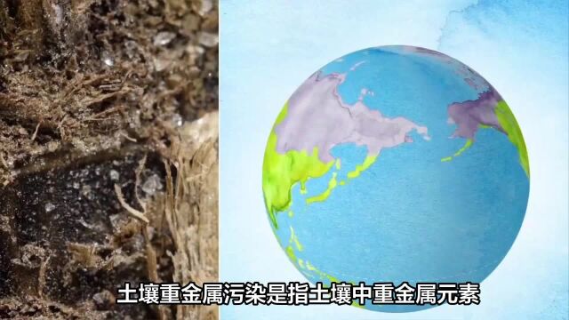 土壤重金属污染正在加剧恶化地球人类生存环境