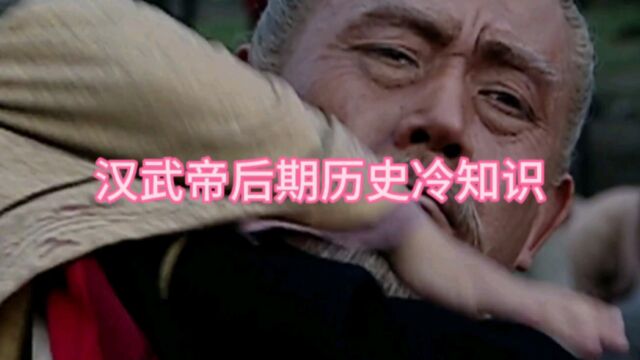 汉武帝后期历史冷知识