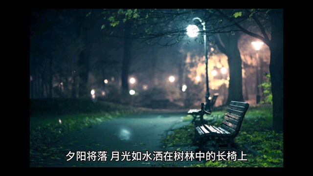 夕阳落月光现,树林长椅,一人;远处背影似你,晚风微起,盼君