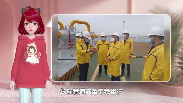 市发改委主任毛铁年带队检查岁末年初油气管线保护工作