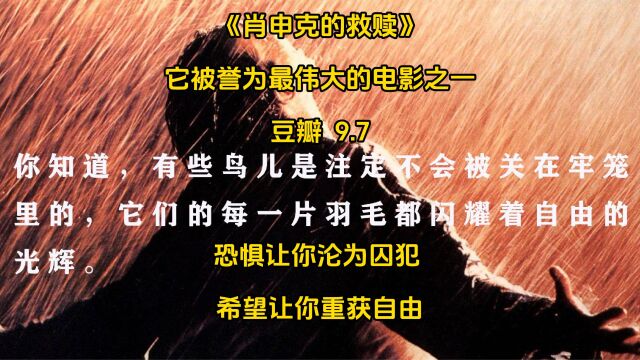 人性、自由、希望和复仇,他们找到了生活中的意义和希望.