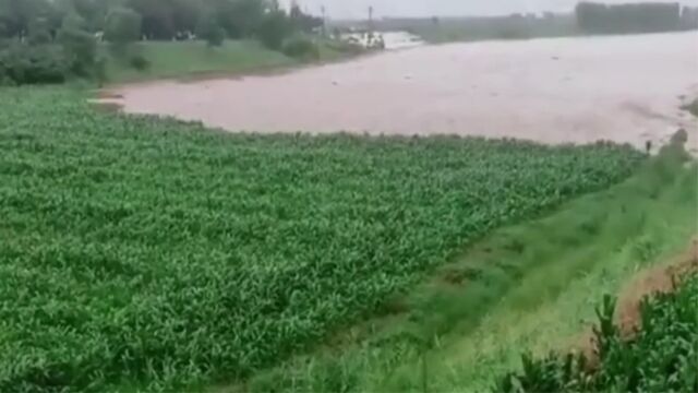 洪水有多可怕?大片良田瞬间夷为平地