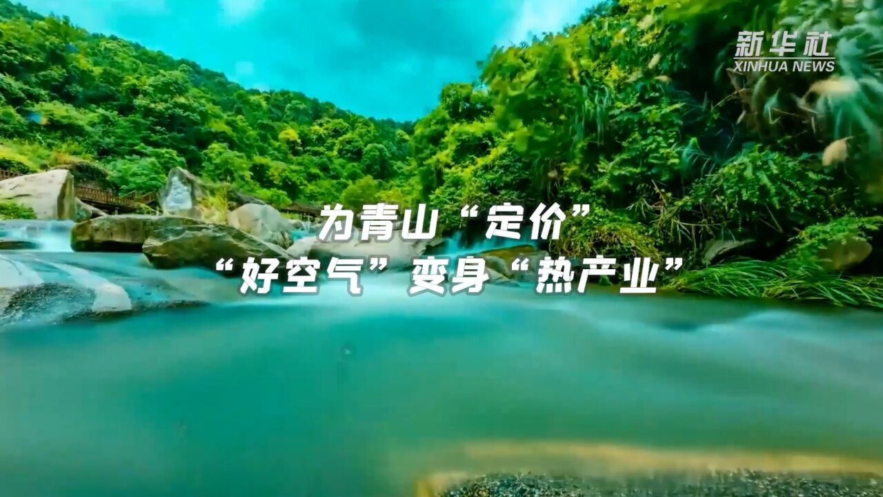 为青山“定价” “好空气”变身“热产业”