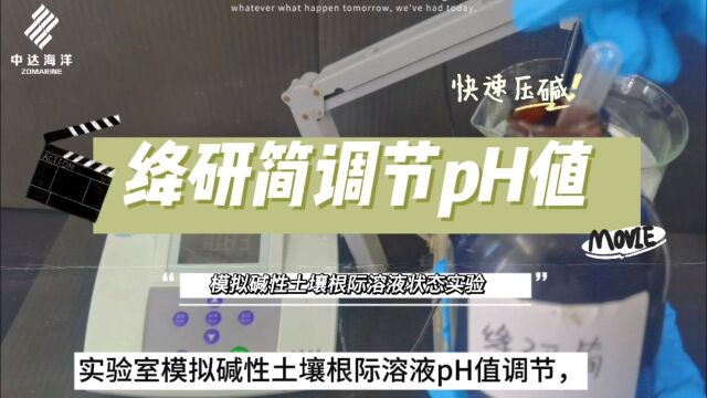 中达海洋绛研简产品,1毫升加入至1000毫升pH10.83碱性溶液,高效压碱,调至5.70.