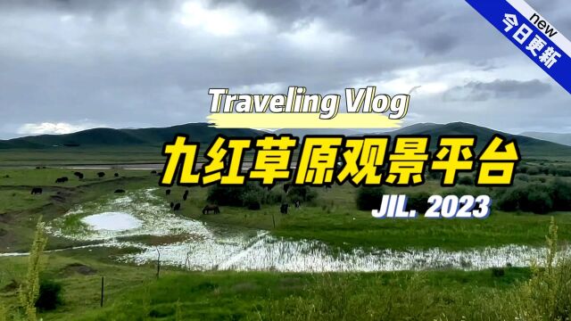 九红草原观光路,最美高原天路,我国唯一一条以草原观光为主题的公路