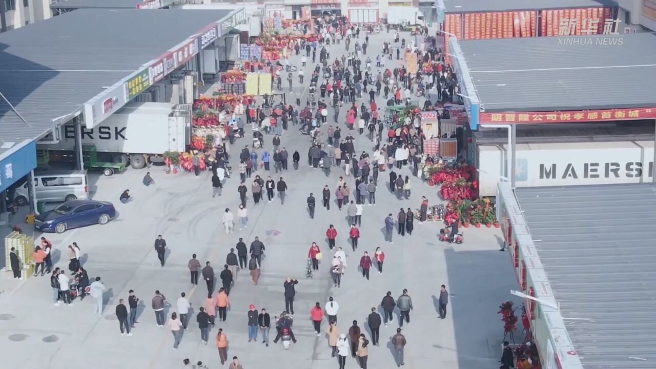 华中地区超级“菜篮子”在湖北孝感投运