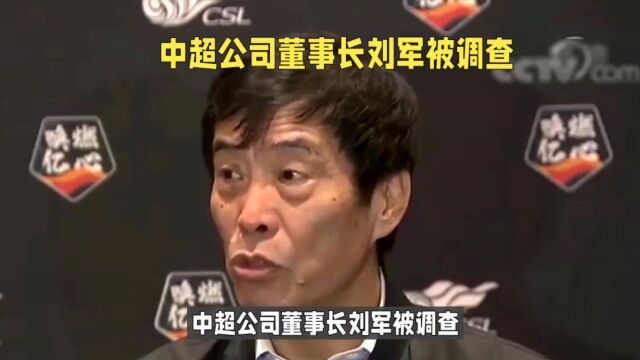 中超公司董事长被查