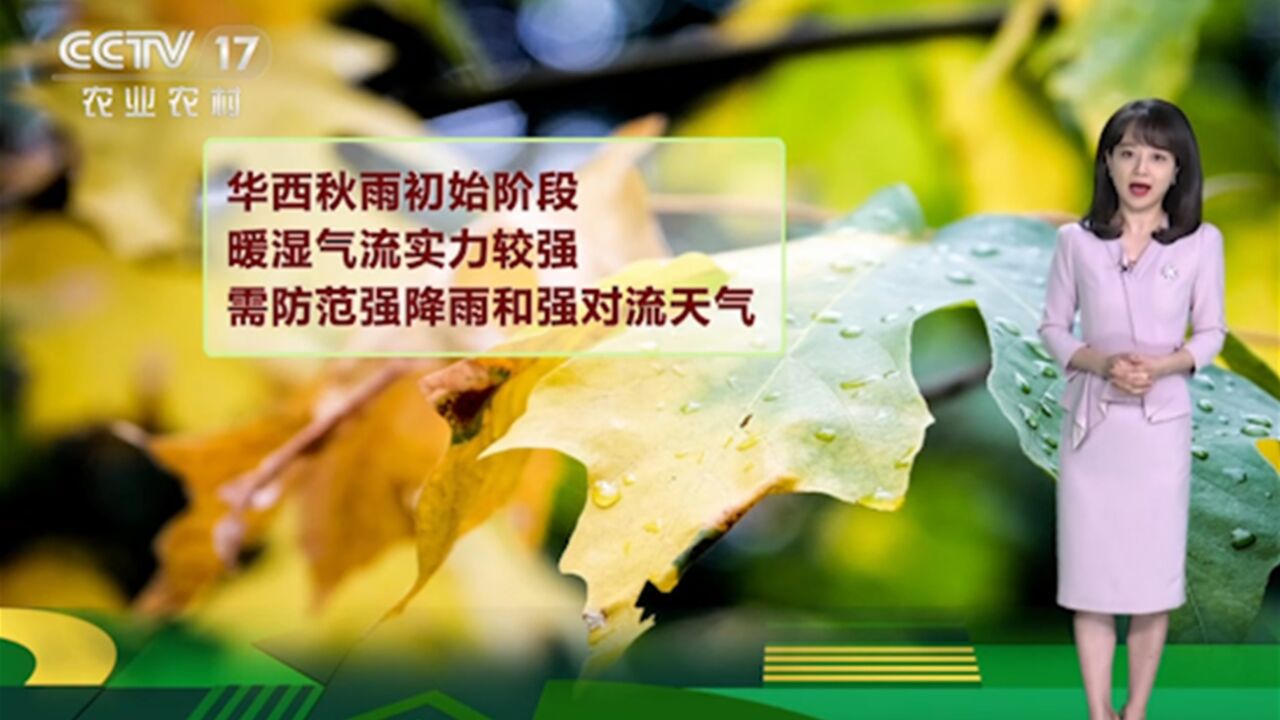 华西秋雨初始阶段,暖湿气流实力较强,需防范强降雨和强对流天气