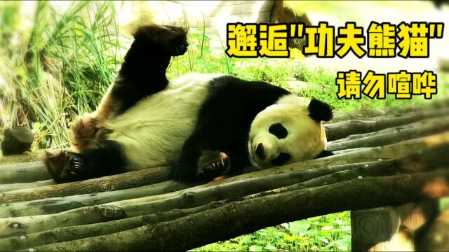 给忙碌的心,放个小长假!实现时间、财富自由的“小野心”!