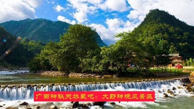 广西神秘天然氧吧:大野神境风景区