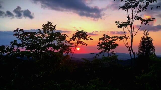 手机摄影:齐岳山上看风景