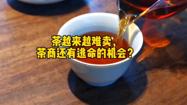 茶越来越难卖,茶商还有逃命的机会?