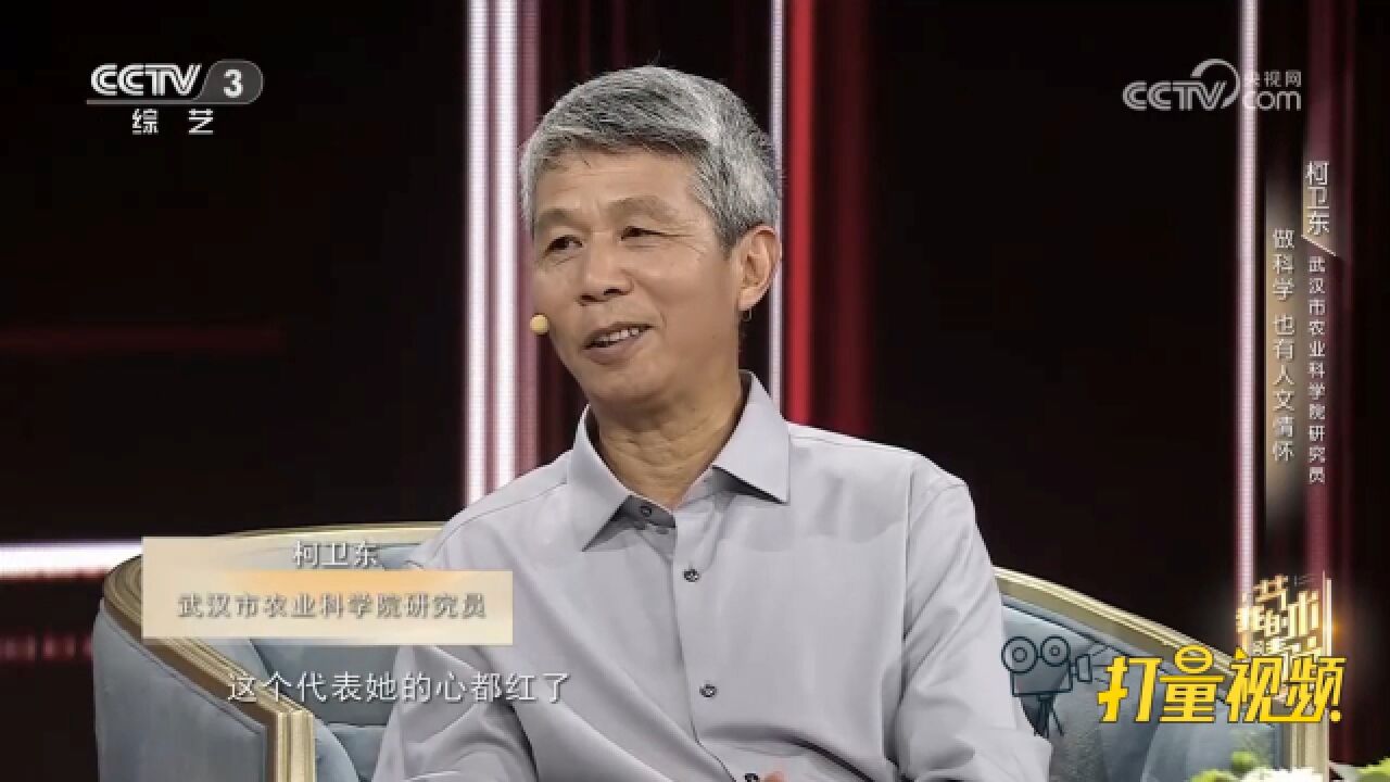 农业专家柯卫东太懂文字之美,解读南朝长篇抒情乐府民歌精彩绝伦