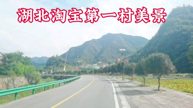 湖北淘宝第一村美景一年四季都令人羡慕,夏天的风景更是令人陶醉