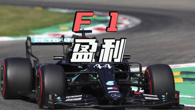 F1赛事靠什么盈利呢?