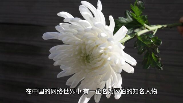 网络名人区伯:监督公车私用的勇士离世,享年70岁