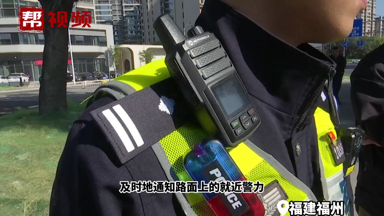 交警的“火眼金睛”!智能稽查布控系统 24小时在线查违法