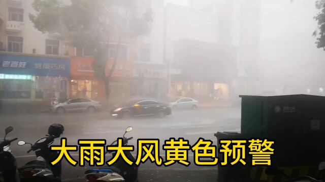 雷雨大风黄色预警