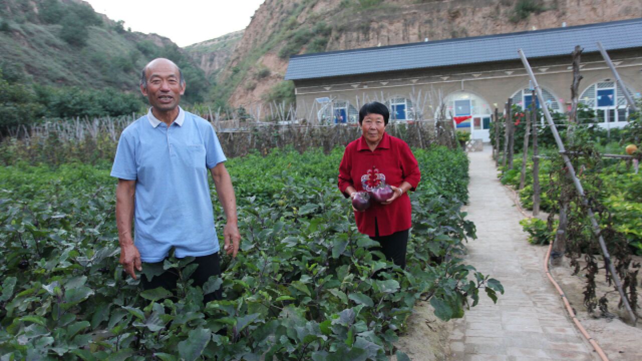 米脂高渠村:留守老人黄土高原上搞庭院经济,美了家园富了口袋