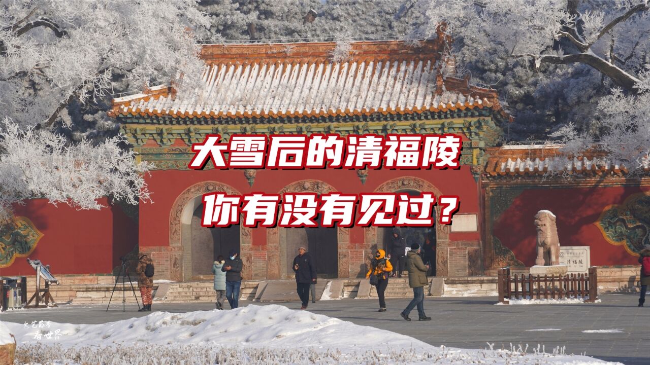 沈阳有一景难得遇见,“福陵瑞雪”有着美好的寓意,实拍分享给您