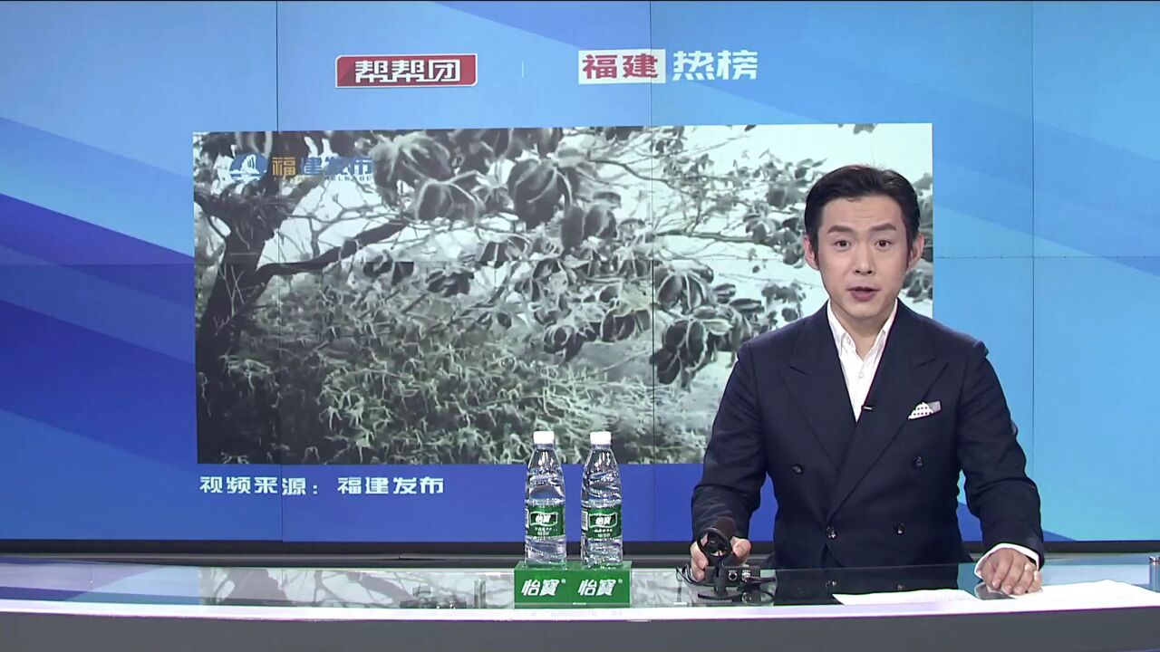 帮帮侠热评:今天!福建下雪啦