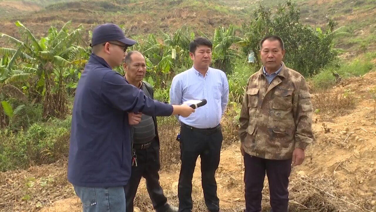 树被砍地被占? 村民损失谁来承担 砍树方:地是向别村承包的