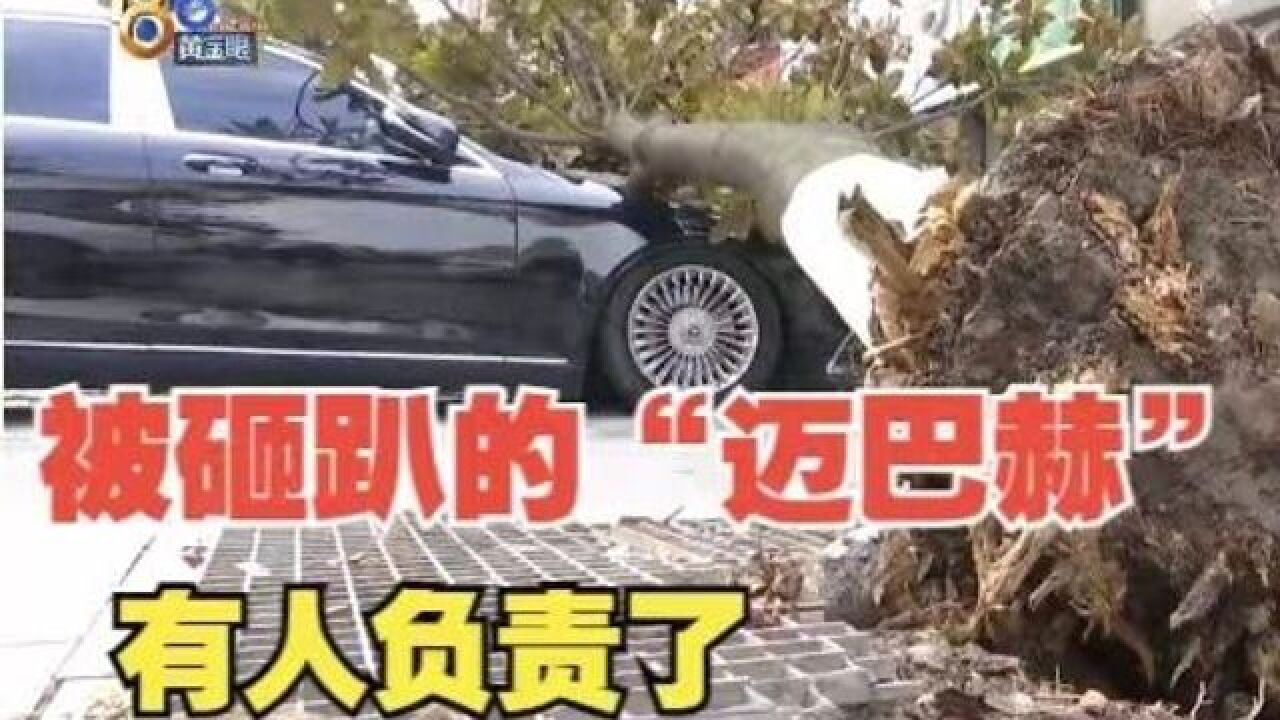 【1818黄金眼】被砸趴的“迈巴赫”后续:有人来负责了