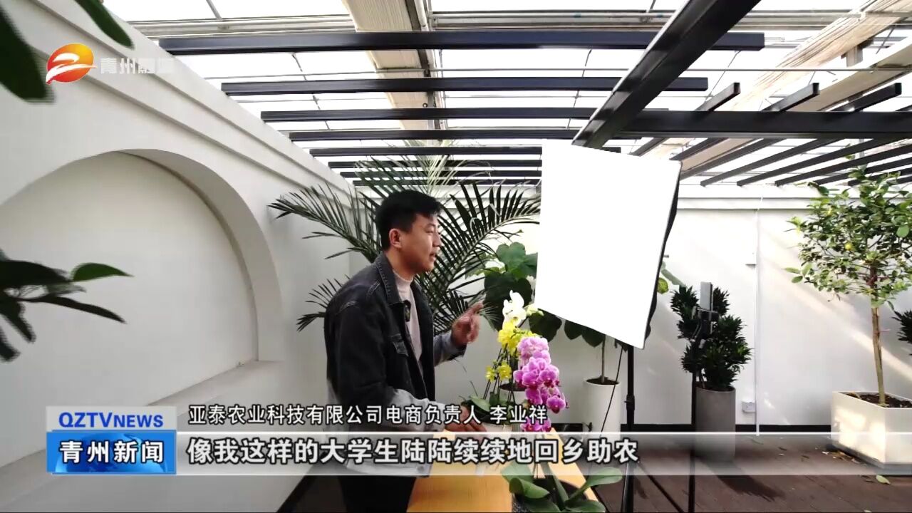 山东青州:产销齐发力 助推花卉产业提档升级