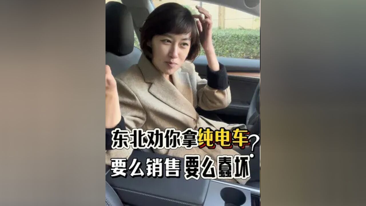 东北劝你拿电动车的,不是销售就是非蠢即坏!一整个相信住