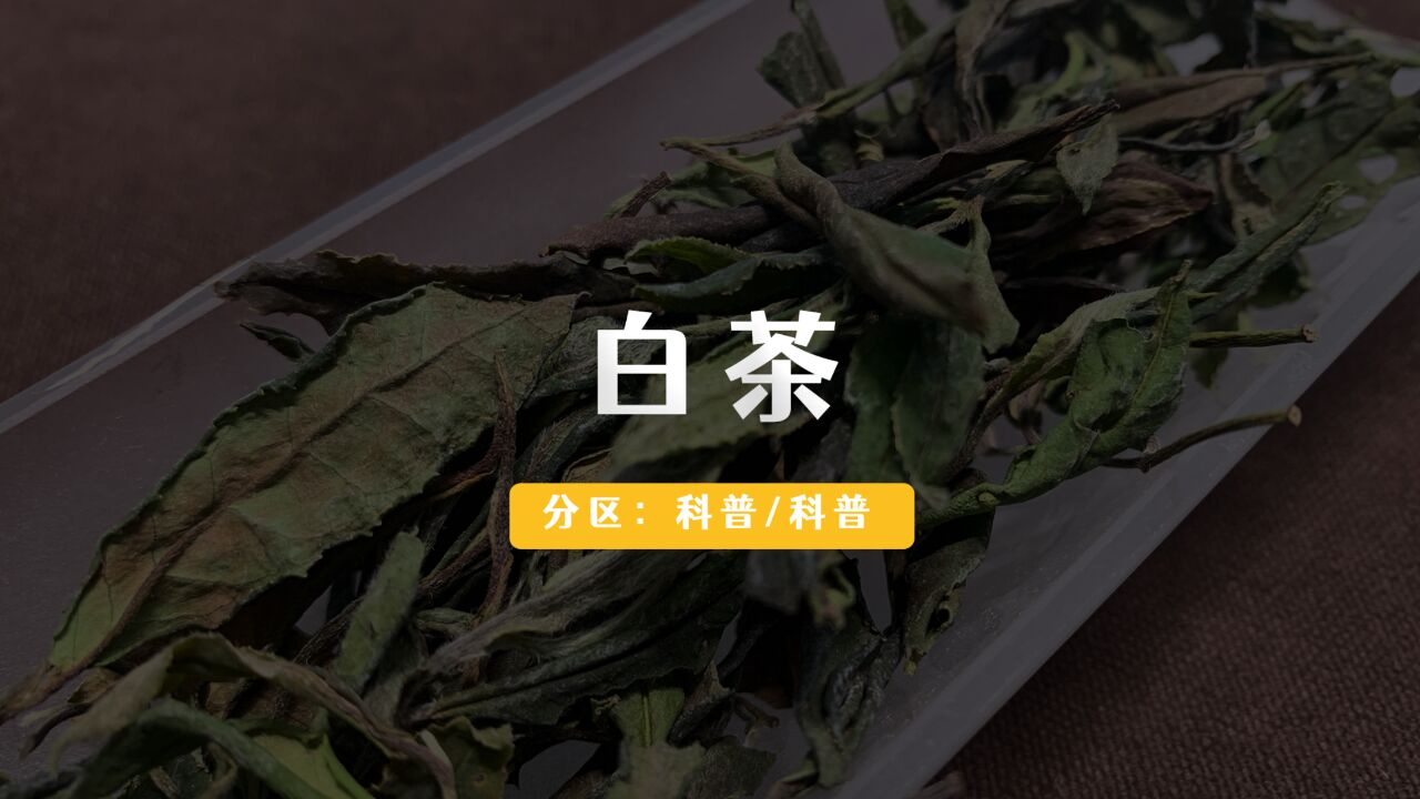 白茶需要存几年才会好喝吗?老白茶更好喝?