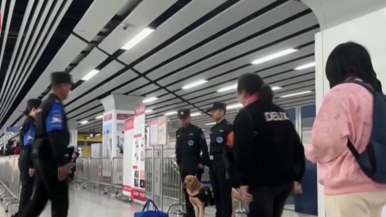 警犬也来“挤”地铁,保障安全人人爱,现场画面